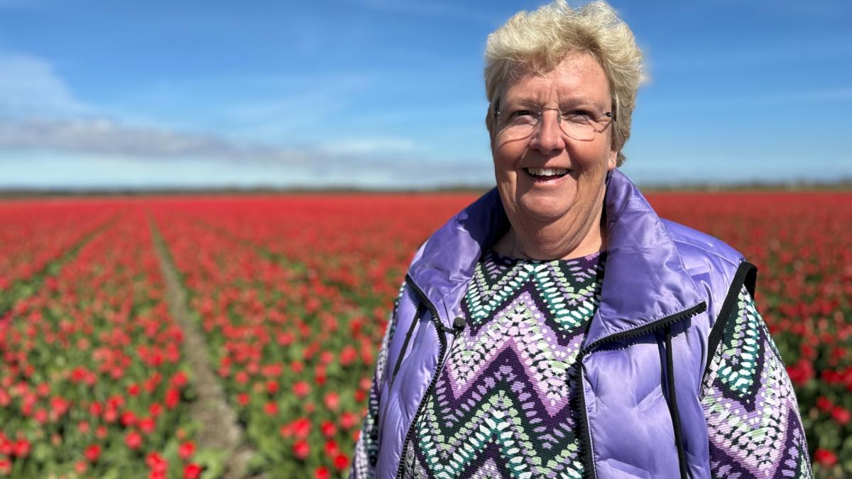 Kapotgetrapte tulpen door selfies verleden tijd met speciale wandelroutes