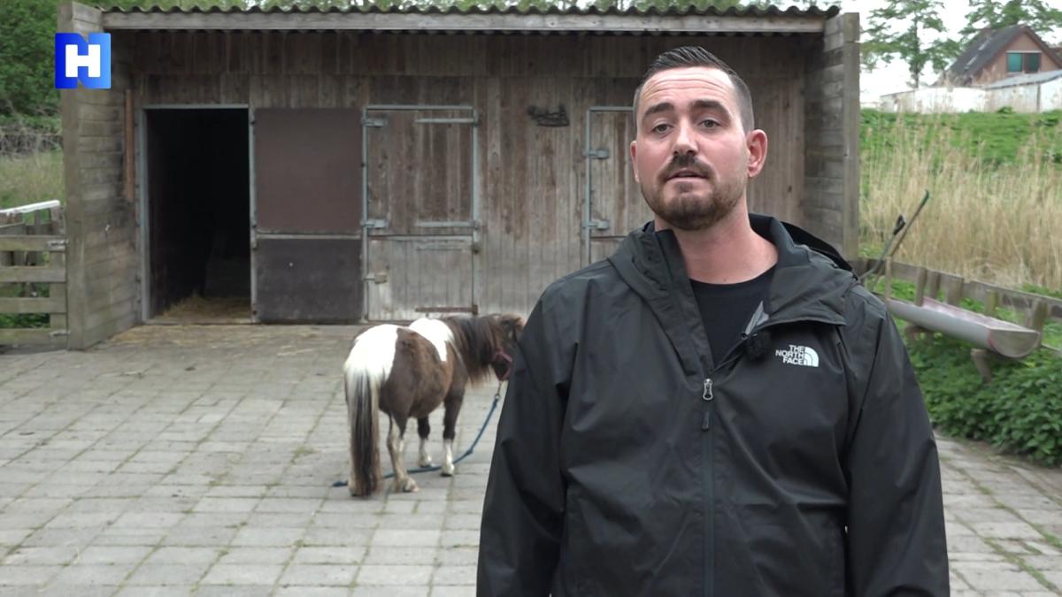 Pasgeboren veulen Joënna verdwenen uit Osdorp: 