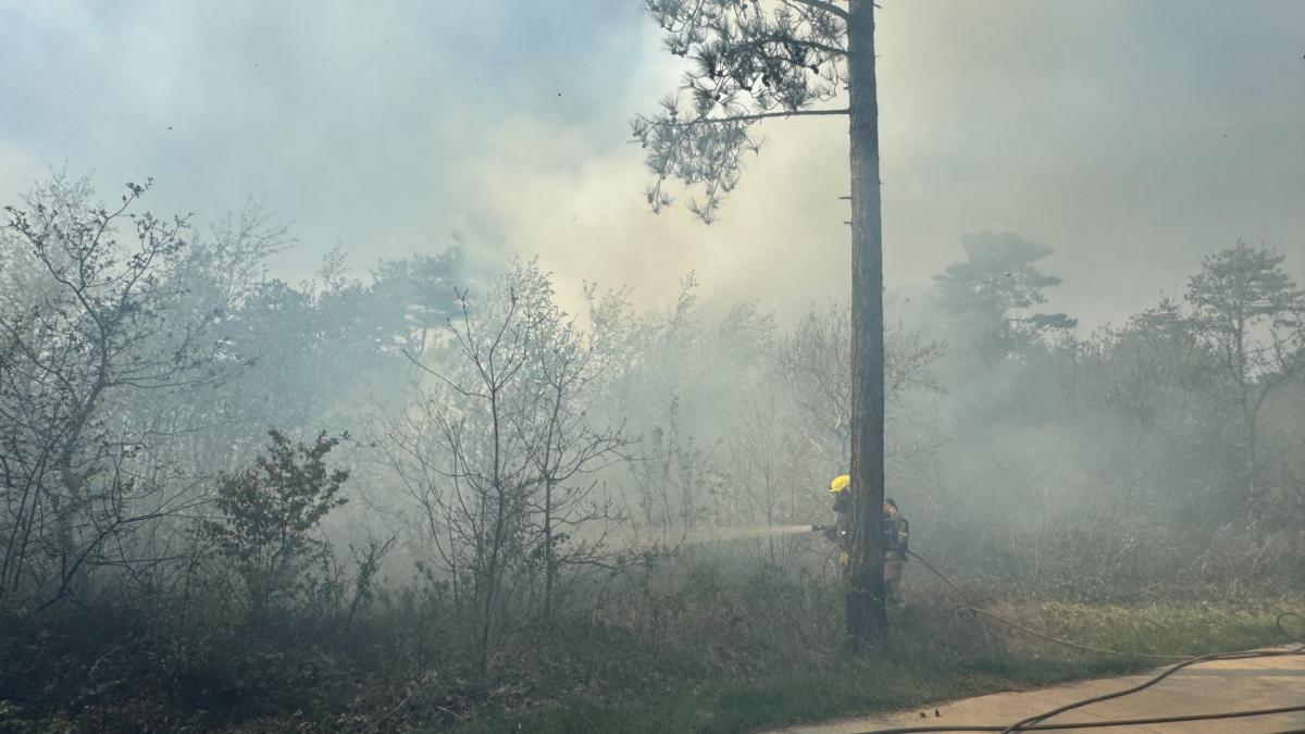 Natuurbrand op Texel met veel rook: "Als het windkracht 5 was geweest, was de schade veel groter gew