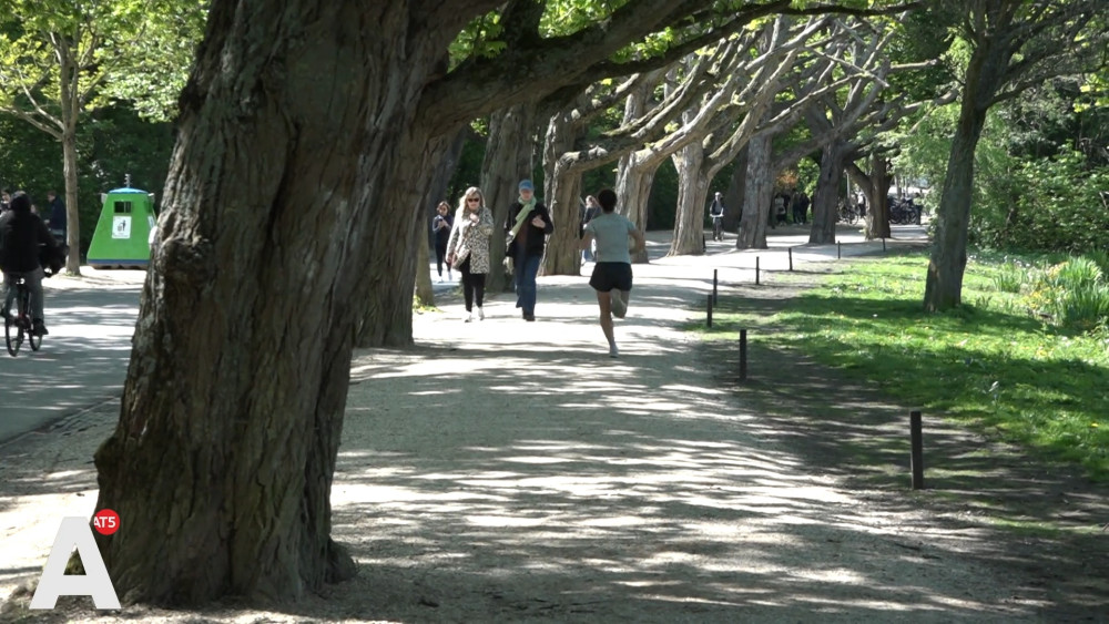 Vondelpark now also a nuisance area after significant increase in incidents