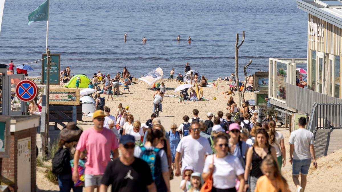 Dagje naar het strand? Hier kan je nog gratis parkeren