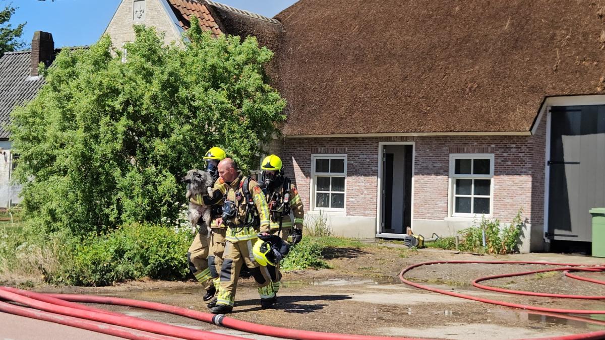 Honden gered uit brandende boerderij, woning volledig verwoest
