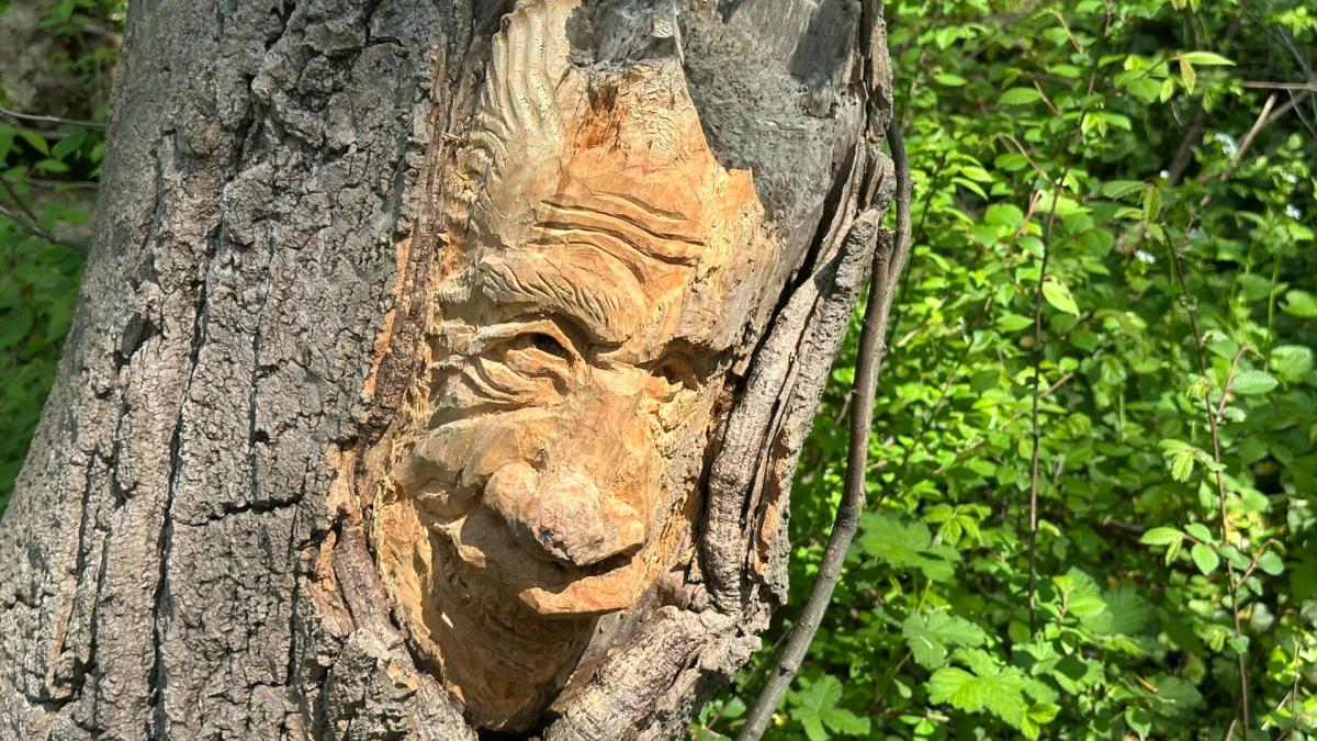 Deze kunstenaar maakte de geheimzinnige bosbeelden in Gaasterbos