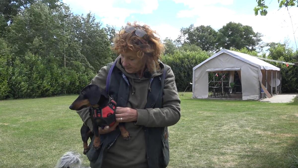 Gedragsexpert waarschuwt na bijtincident Amsterdamse Bos: "Iedere hond kan bijten"