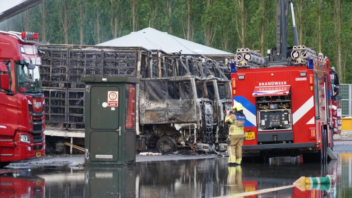 De brand bij Plukon blijft nog onopgelost, maar op het terrein wordt alweer volop gewerkt
