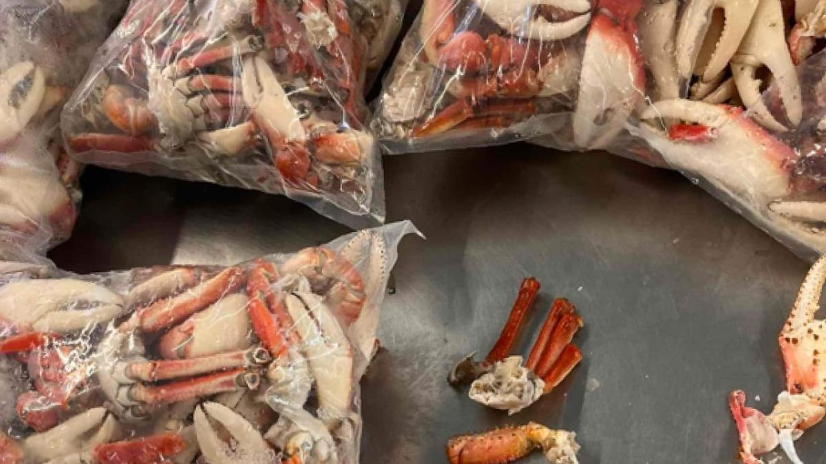 Veel rook door brand in Middenbeemster • Trein stilgezet om verdachte steekpartij aan te houden