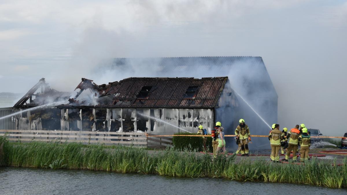 Grote brand in schuur boerenbedrijf Avenhorn, veertig schapen gered