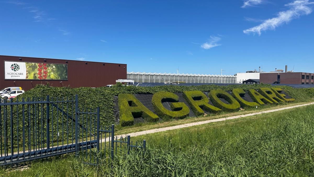 Personeel ingestort kassencomplex kan in andere kassen werken, kas pas in 2026 herbouwd