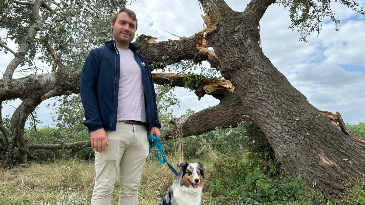 Onweer splijt bekendste boom van het dorp
