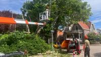 Werknemers gebruiken een hoogwerker om grote takken van een boom langs een woonstraat te snoeien. Afgehakte takken en bladeren liggen op de grond en er zijn een houtversnipperaar en veiligheidskegels aanwezig. Huizen verschijnen op de achtergrond.