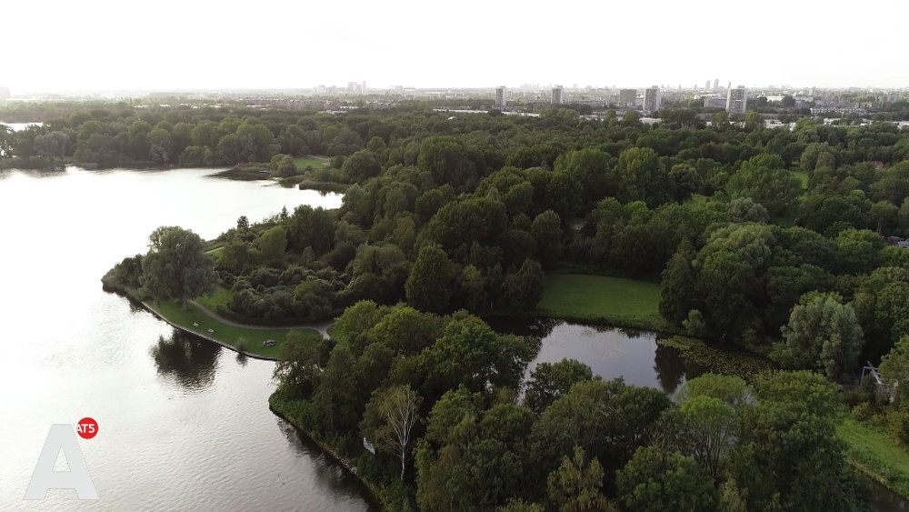 Duiker overleden na ongeluk in Gaasperplas.