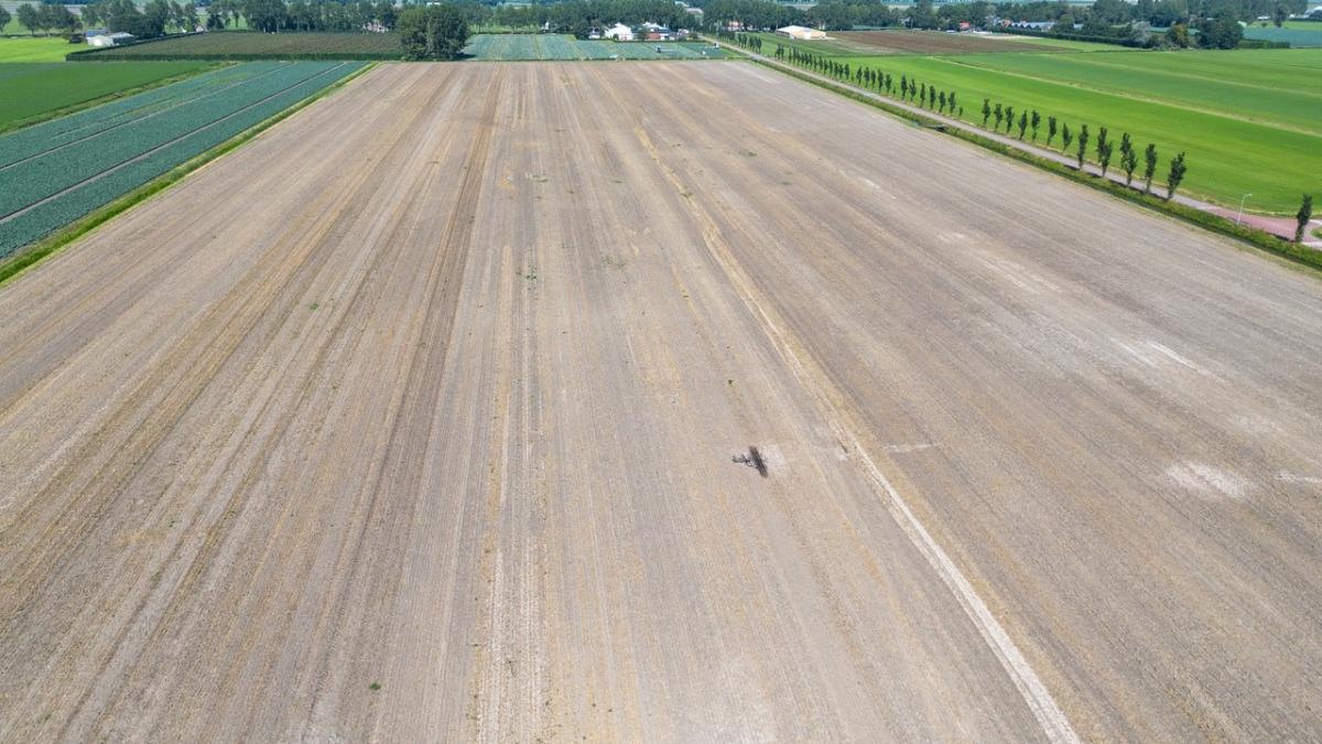 Dorpsbos in Venhuizen komt steeds dichterbij