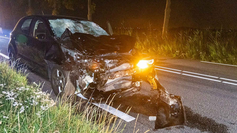 Drie koeien dood na aanrijding. Drie koeien dood na aanrijding.