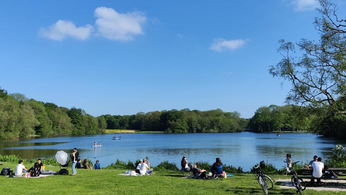 Water Grote Vijver in Amsterdamse Bos weer schoon, negatief zwemadvies ingetrokken