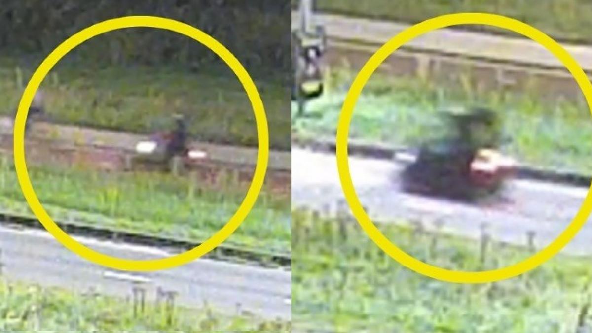 Recherche geeft beelden vrij van mogelijke getuigen dood Lisa (17), dit weten we nu