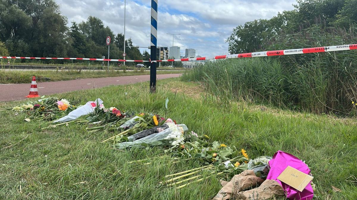 Bijna 200 tips na getuigenoproep en extra maatregelen op route die Lisa reed