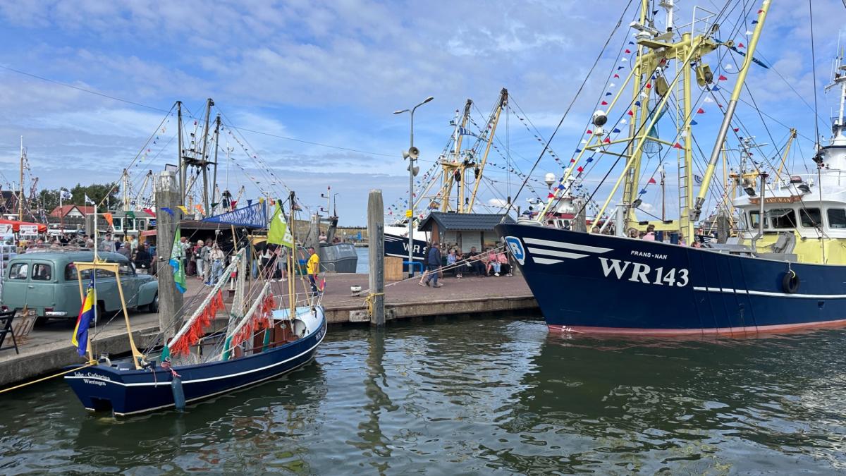 Krimpende vissersvloot remt feestvreugde niet bij Flora- en Visserijdagen
