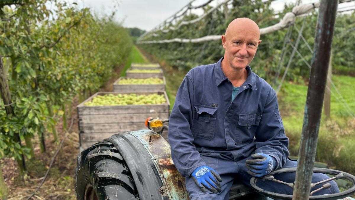 Perenpiek: fruitteler Siem zoekt fitte AOW'ers voor mega-oogstklus