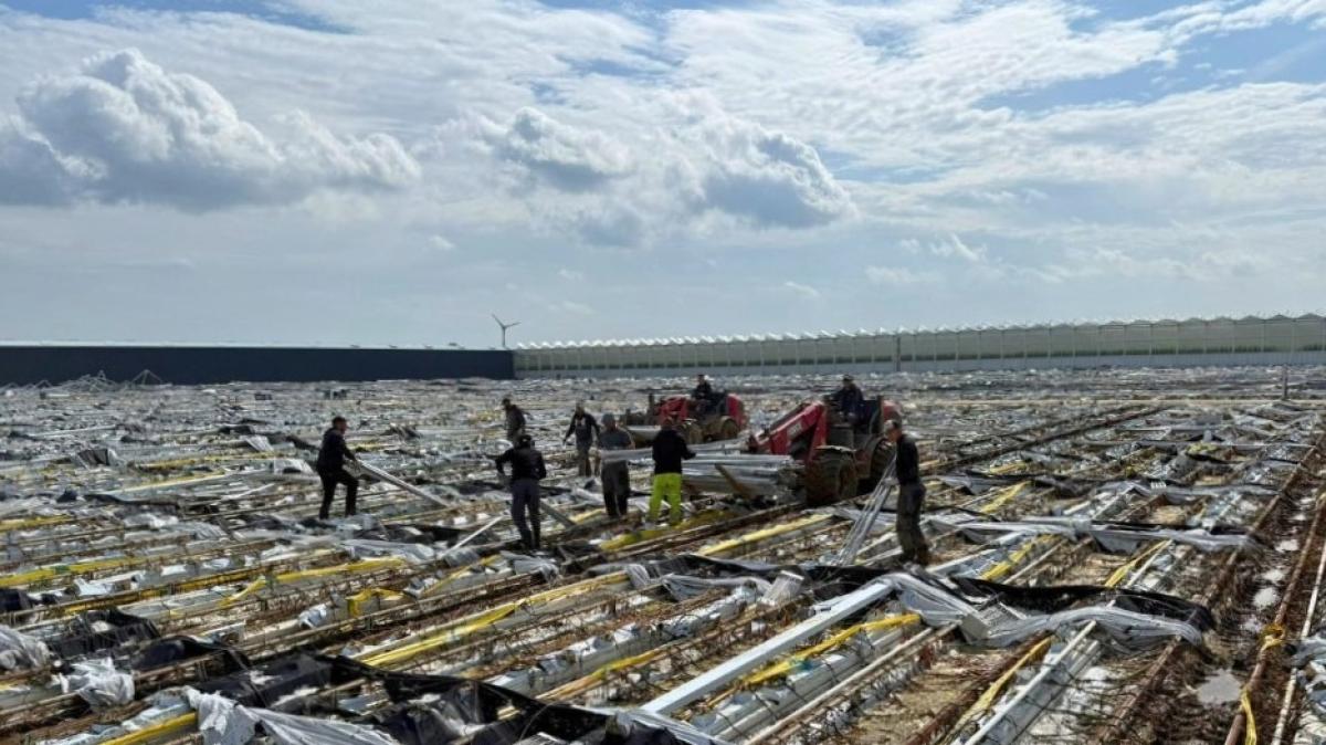 Ingestort kassencomplex Middenmeer wordt weer opgebouwd