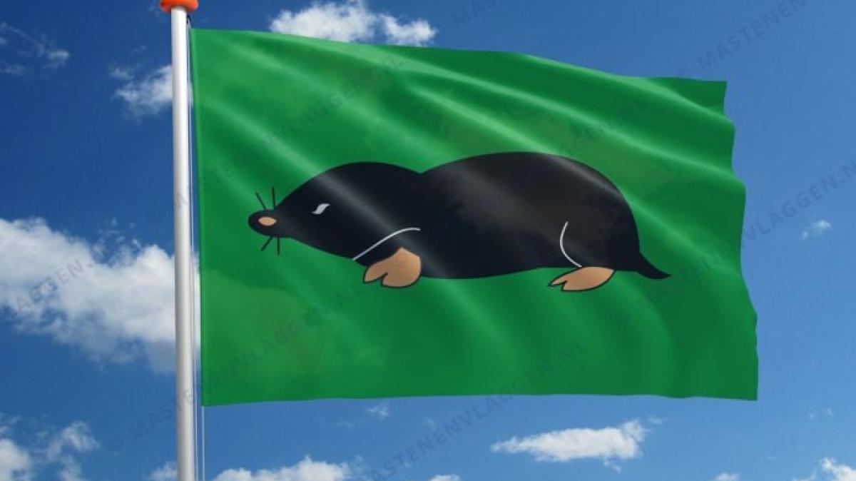 Wat er misgaat met de dorpsvlag van Rijsenhout en waarom Spaarndam het wél goed doet