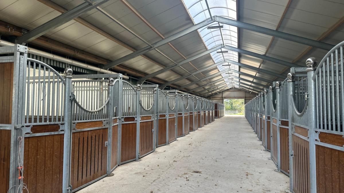 Paardenstal Nelis klaar voor de komst eerste Schimmelkroft paarden