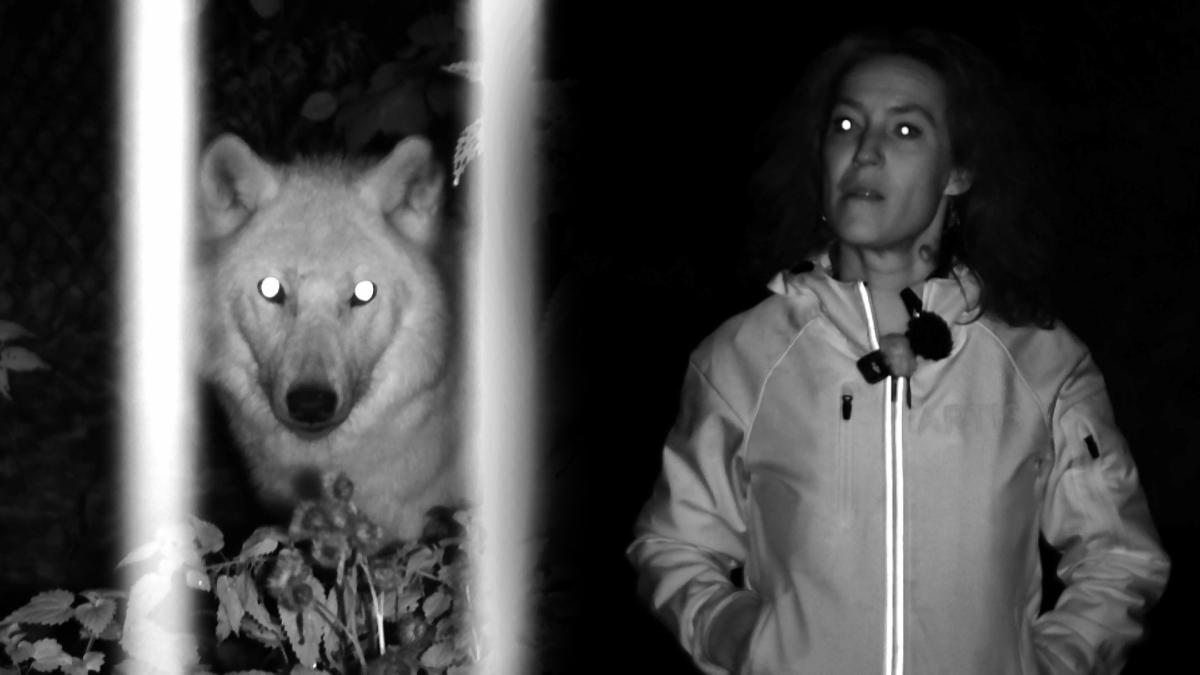 Op pad in een donker Artis: "De dieren zijn net zo nieuwsgierig als wij"