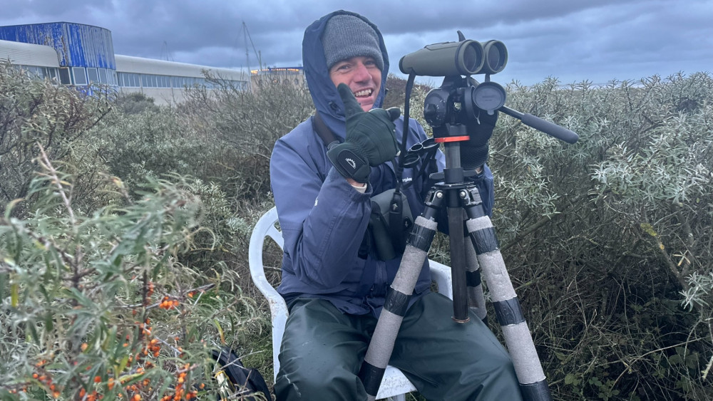Bijzondere vogels even te zien door storm Benjamin: "Dat is toch fantastisch" Nieuws