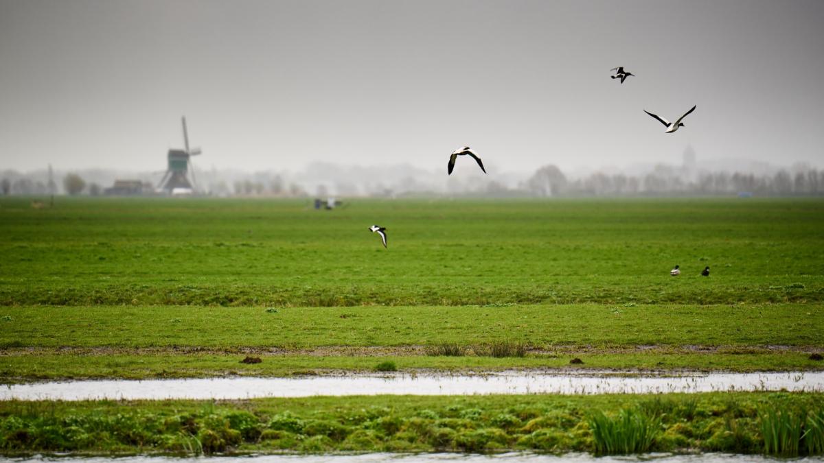 Krijgt Opperdoes als een van de eerste dorpen in Noord-Holland groen licht om te bouwen in beschermd