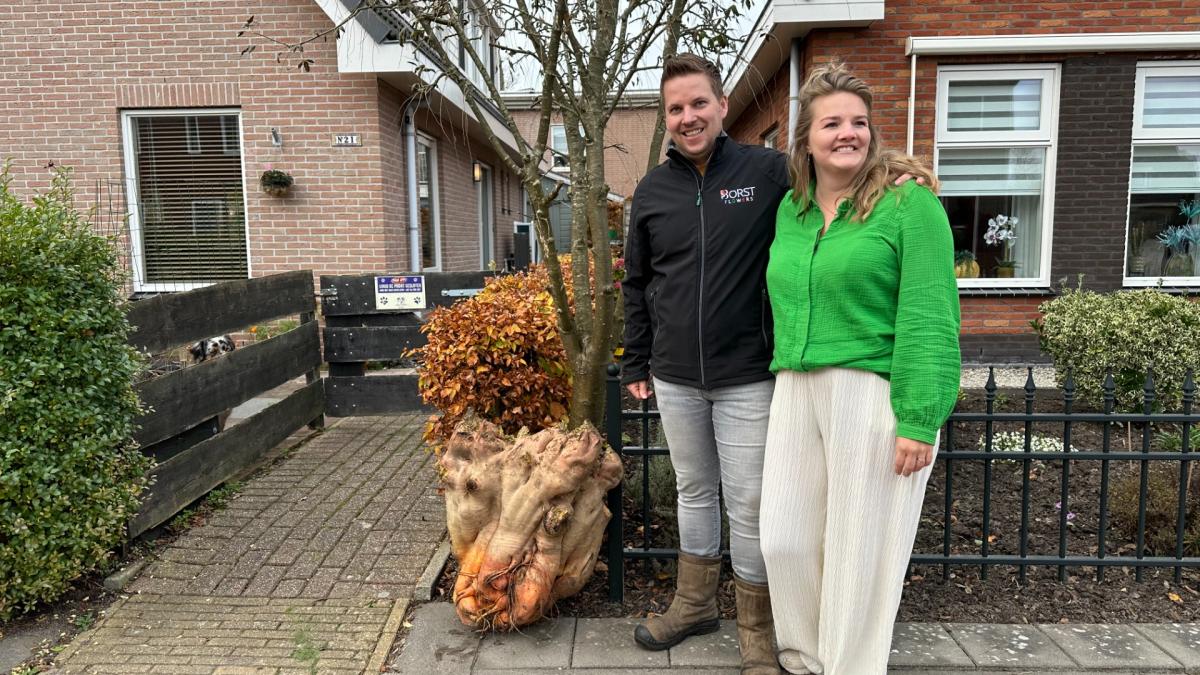 Zwaarste bieten van Noord-Holland komen uit de tuin van Jelle en Joyce