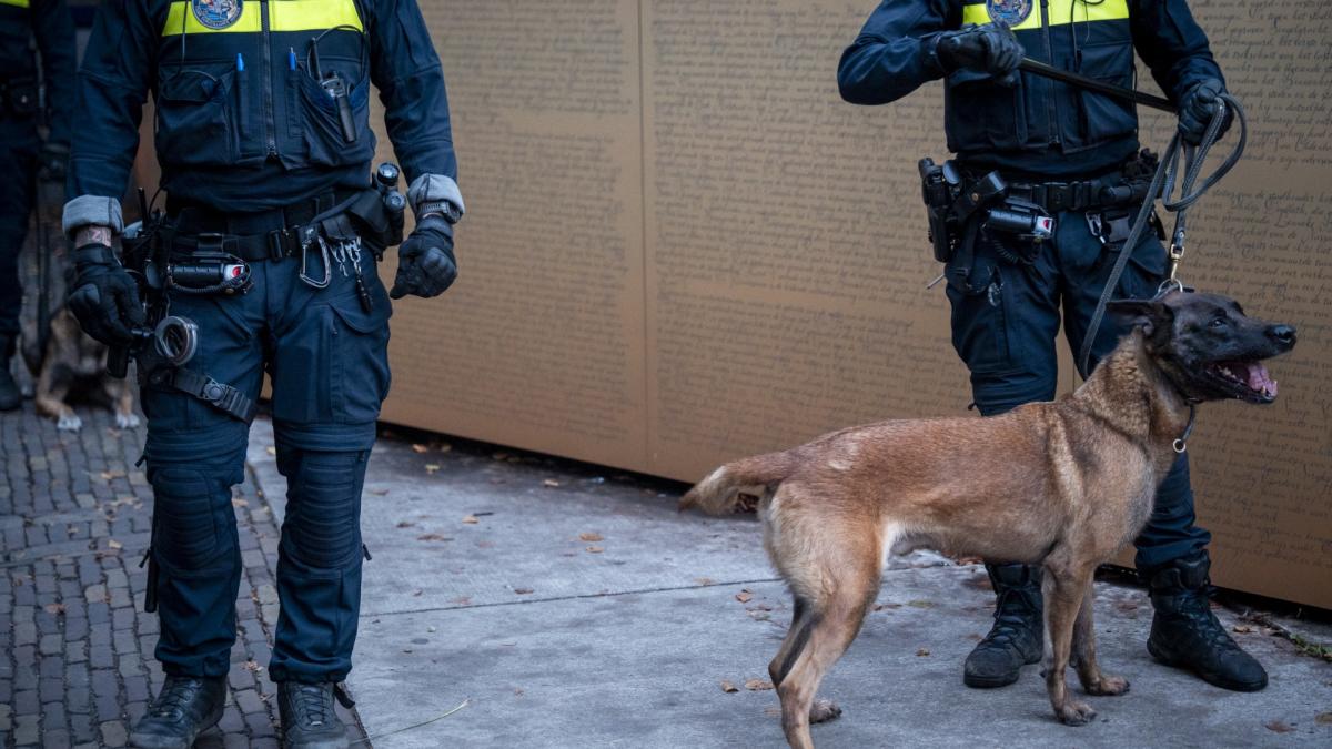 OM vraagt vrijspraak voor agent na aanval van diensthond: 