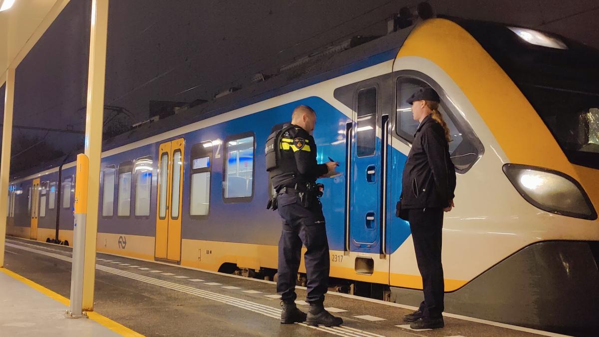 Politie haalt man (33) met pistool uit trein
