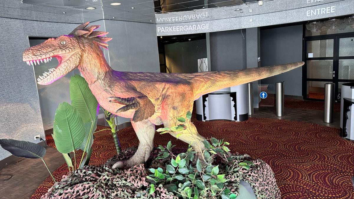 Holland Cadino: dino's overspoelen Zandvoort de komende jaren