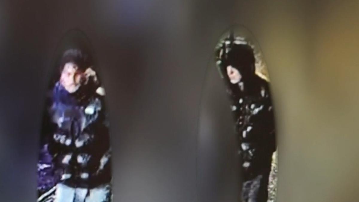 Politie deelt beelden van mannen die slachtoffer mishandelen in Haarlem