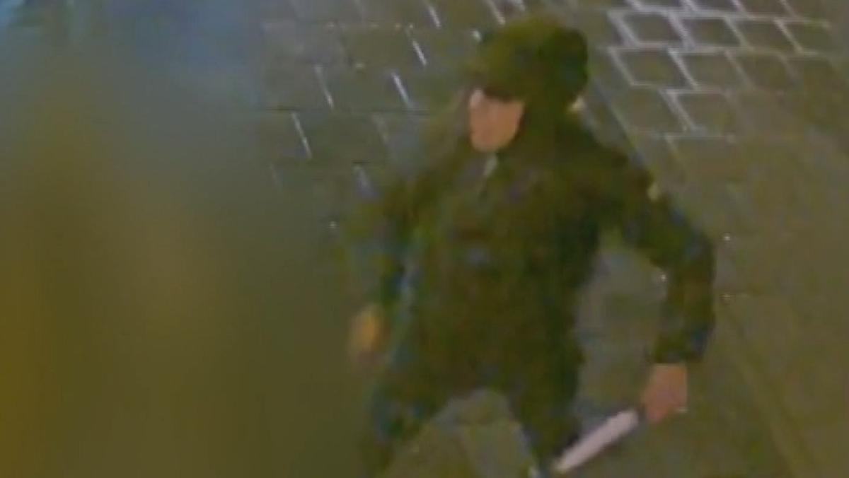 Politie deel duidelijke beelden van straatroof Wieringerwerf