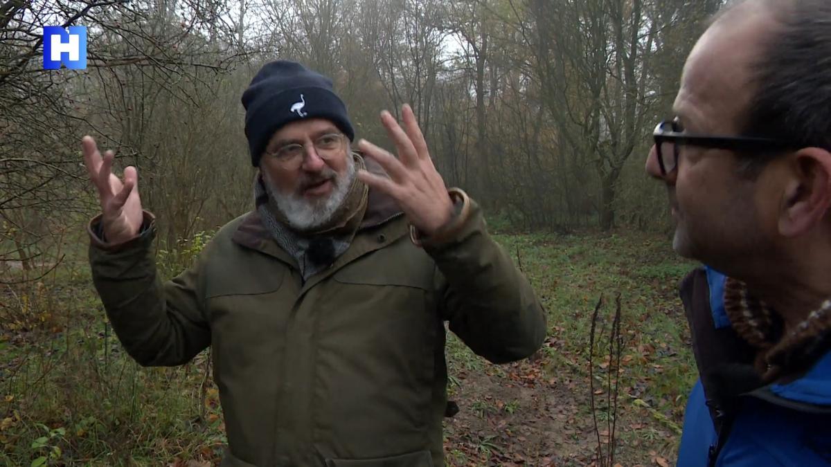 Paddenstoelen geven een magische show in Thijsse's Hof in Bloemendaal