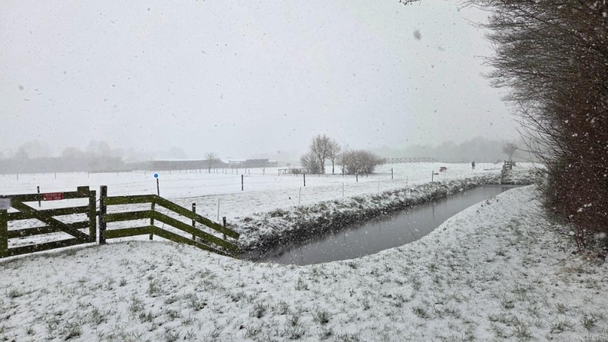 ? Liveblog winterweer: Aantal annuleringen Schiphol al rond 450 • Drukte op wegen lijkt nog mee te v