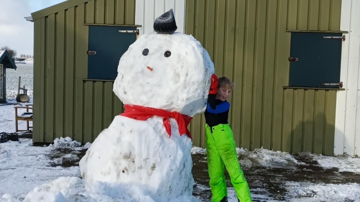 Winterse kiekjes van een ondergesneeuwde regio