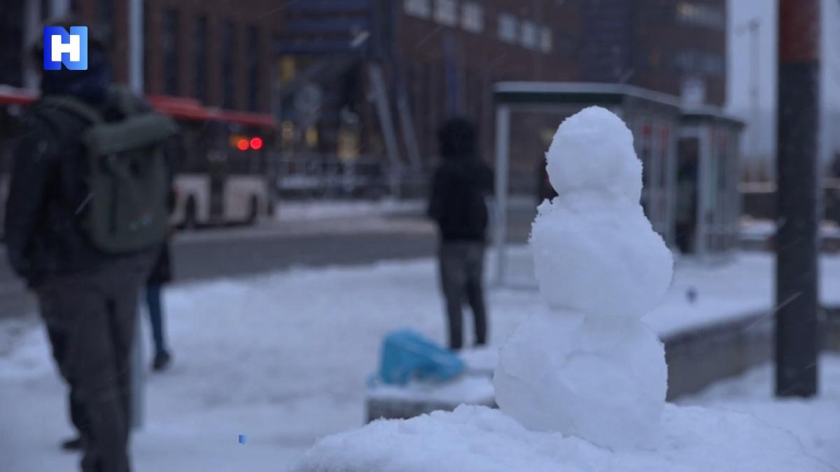 Sneeuw in de spits, Noord-Hollanders maken er het beste van