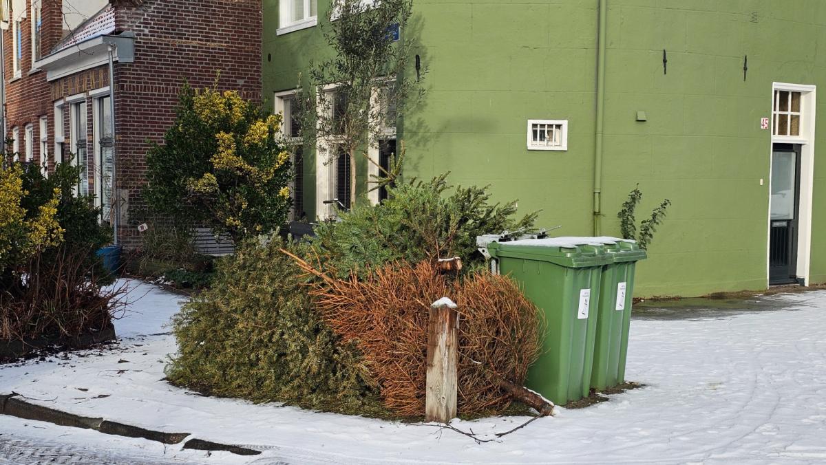 Inzameling kerstbomen Haarlem en Zandvoort uitgesteld vanwege winterweer