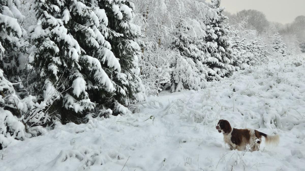 Texel maakt zich op voor dik pak sneeuw