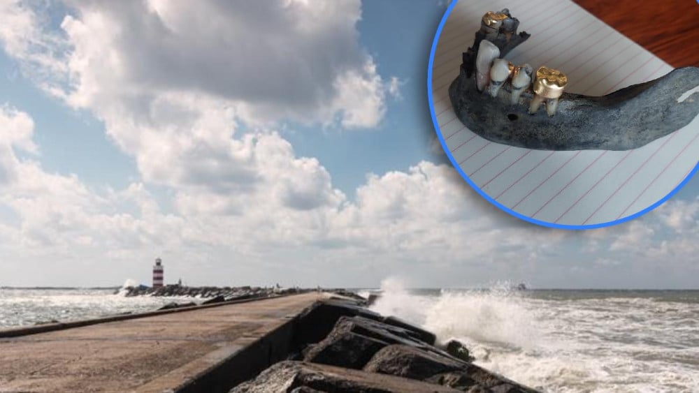 Kaak met gouden tanden gevonden op strand in Wijk aan Zee