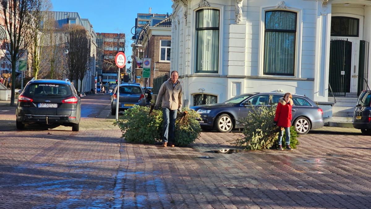 Kerstbomen massaal ingeleverd in Haarlem en Zandvoort: 