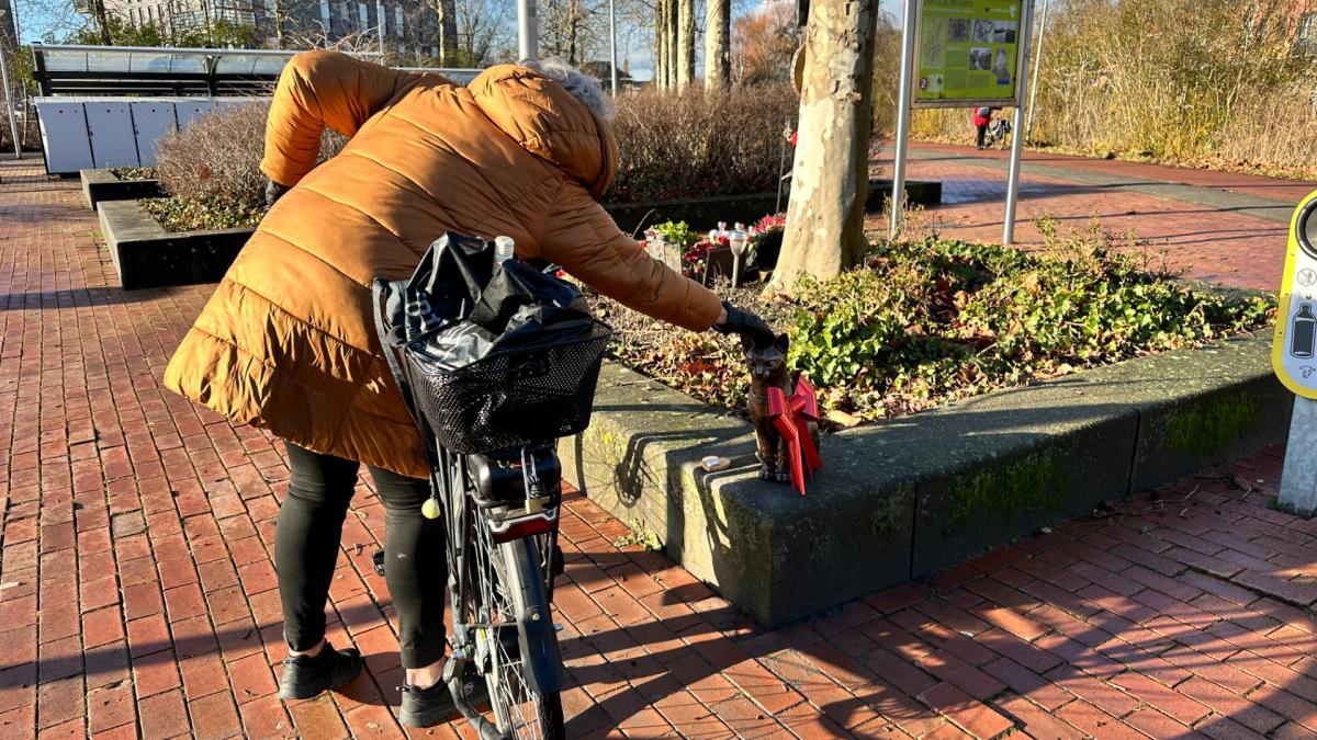 Eindelijk krijgt hij z'n plekje: stationskat Brammetje vereeuwigd in Purmerend