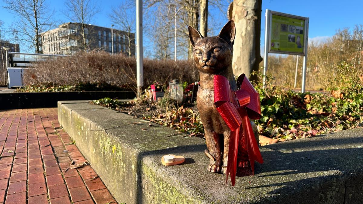 Beeld stationskat Brammetje uit voorzorg weggehaald na 'poging ontvoering'