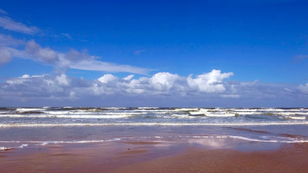 Nu nog koud, volgende week lenteachtige temperaturen