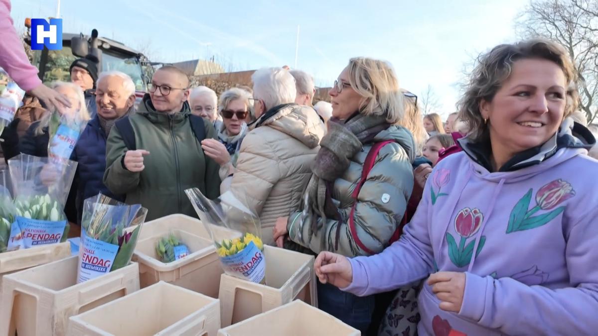 Schouder aan schouder voor een gratis bosje tulpen: Heemskerk viert Nationale Tulpendag
