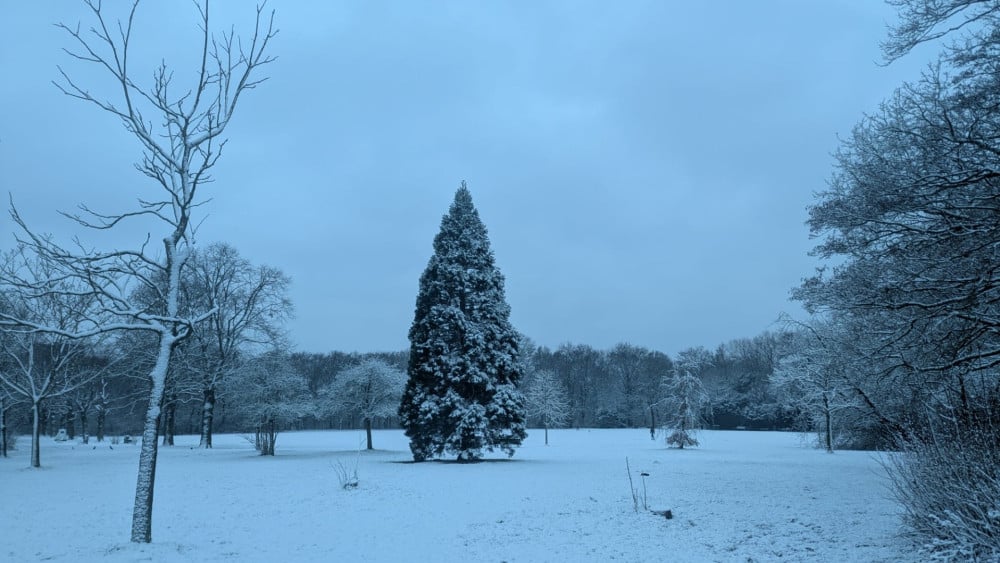 Vandaag sneeuw en gladheid, maar winters weer is van korte duur Home