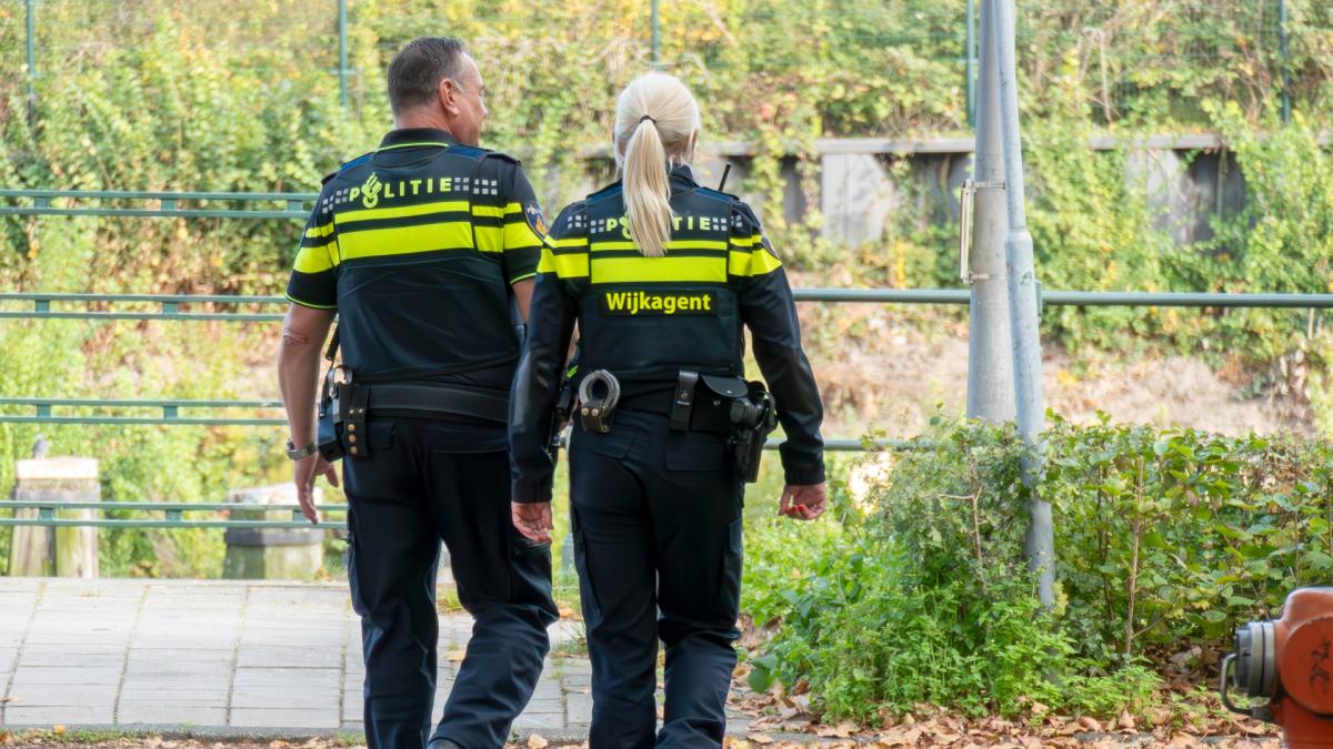 Man schiet in de lucht bij Oosthuizen: politie zoekt getuigen