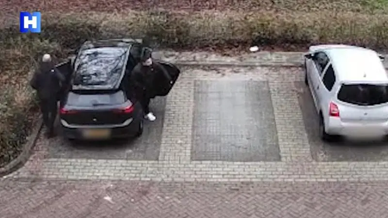 571095.c212ed3.webp?width=800&ratio=16:9&quality=70