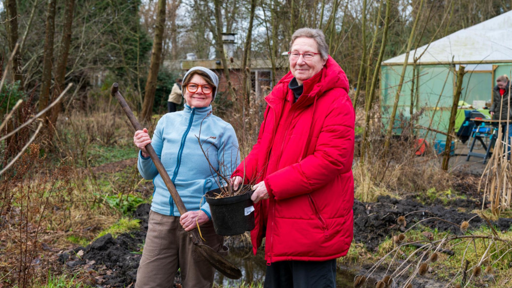 End of the road for Haarlem nature garden? "Ten years of work gone"